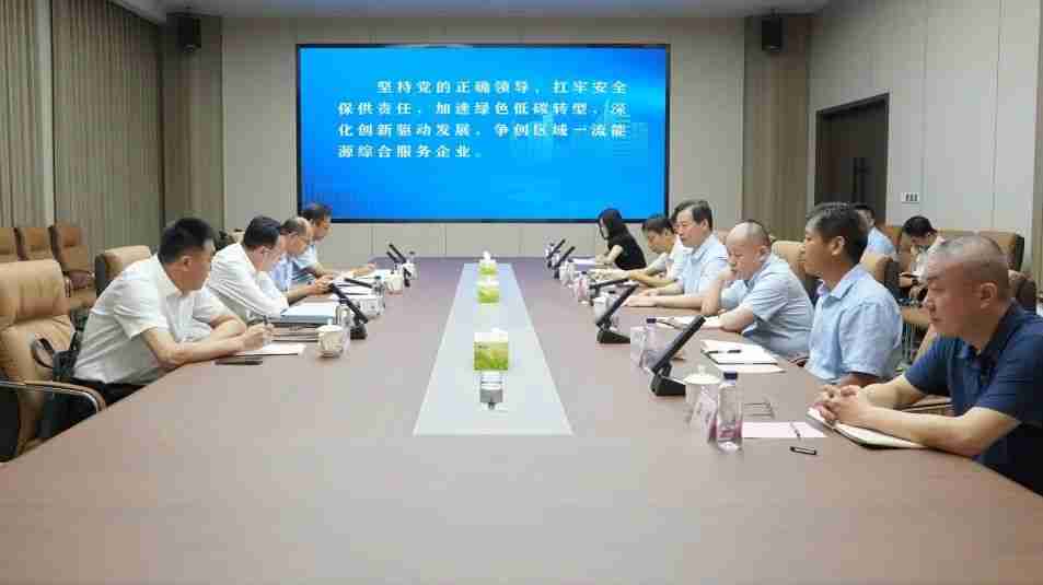 市委常委、副市长沙向东带队到伟德国际1946源于英国 调研指导工作