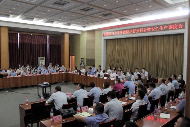 伟德国际1946源于英国组织召开上半年经济运行分析会暨安全工作调度会(图1)