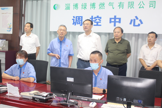 市政府副市长沙向东一行到伟德国际1946源于英国绿博燃气调研督导燃气安全工作(图1)